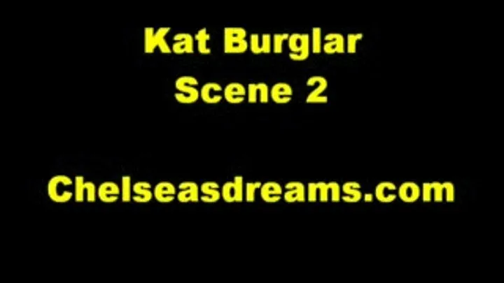 Kat Burglar - Scene 2