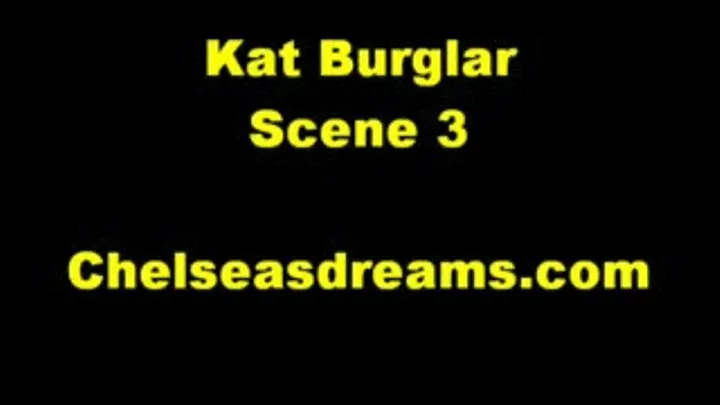 Kat Burglar - Scene 3