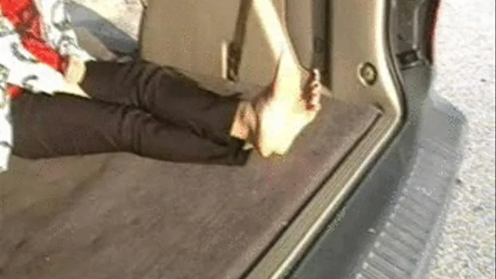 Hot Soles In The Van & Wet Shiny Soles Combo