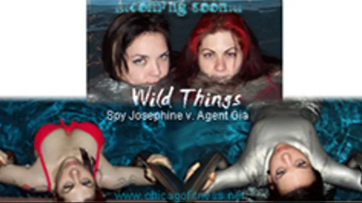 Wild Things: Spy v. Agent