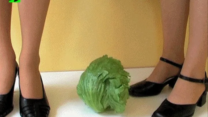 Ice lettuce