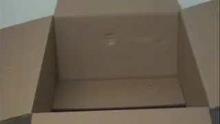 the box (Full)