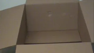 The Box #1