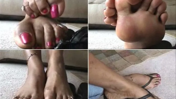 Kitten's Toe & Sole Show - 2