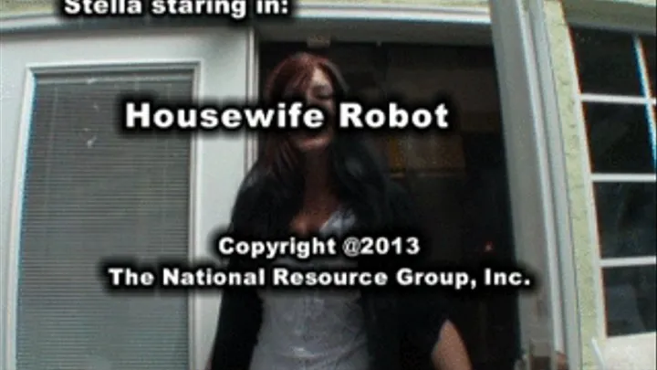 Housewife Robot