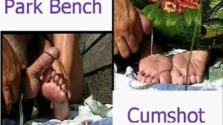 Park Bench Cumshot