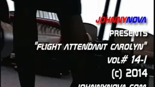 flight attendant carolyn vol # 14-I