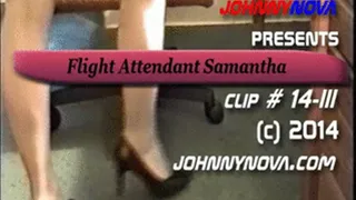 flight attendant samantha vol # 14-III