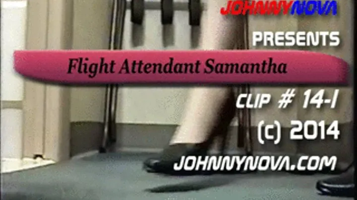 flight attendant samantha vol # 14-I