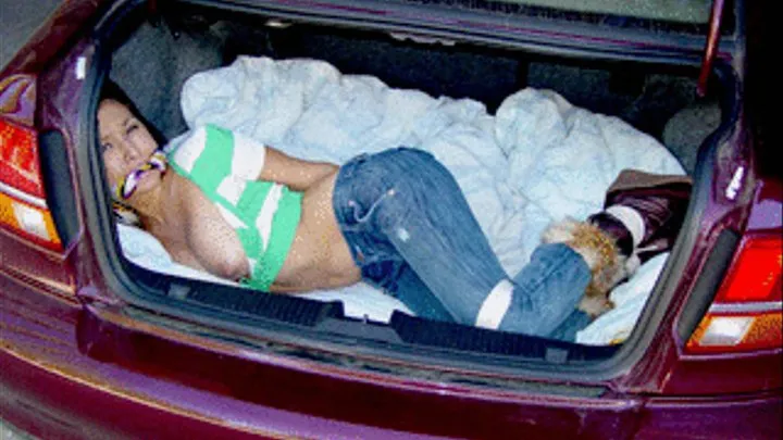 Car Trunk Bondage for Lana Lopez - Slideshow