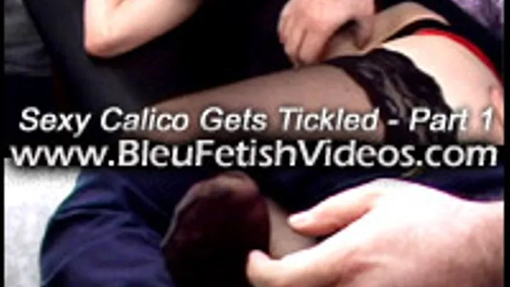 Sexy Calico Gets Tickled - Part 1 - format 640 x480