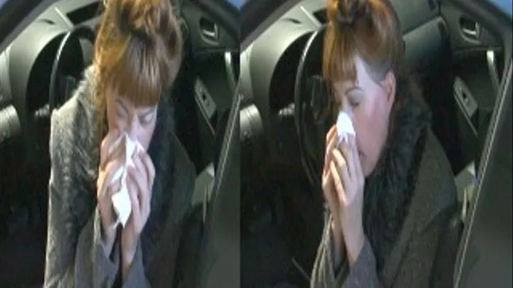 Nose Blowing In Car