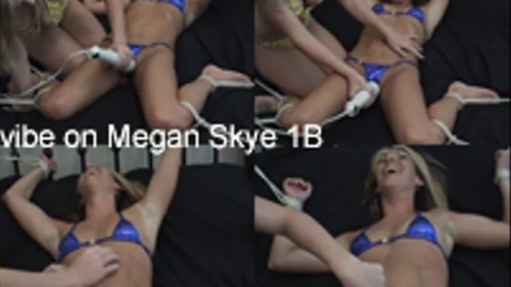 Vibe On Megan Skye 1B -Megans Sensative Body Tickle