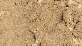 Kicking The Sand