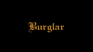 Burglar