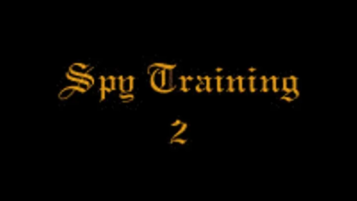 Spy Training 2