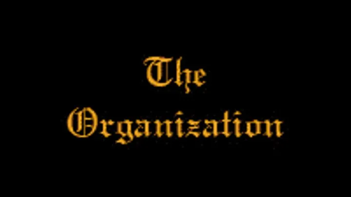 The Organization