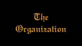 The Organization