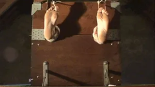 Experience in the Stocks for Cassandra 01