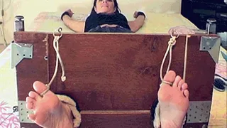 THE MOST EXPLOSIVE FEET EVER IN THE STOCKS PART 01