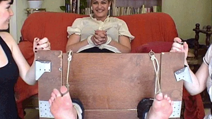 Anaia's Friends are Tickled Silly : Sylana in the Stocks