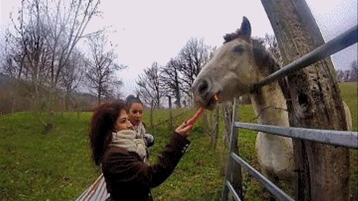 Horsewomen