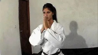 The Art Of Karate 2