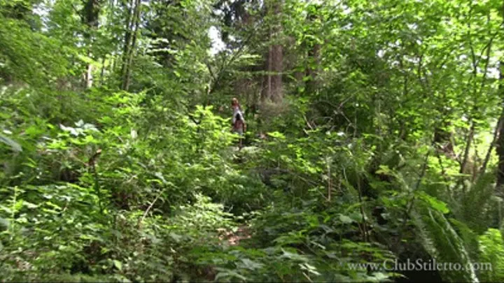 Kandy and pony Wander the Wilderness