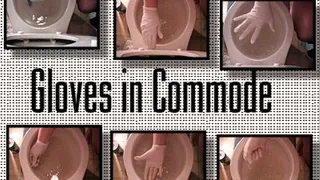 Gloves in the Commode