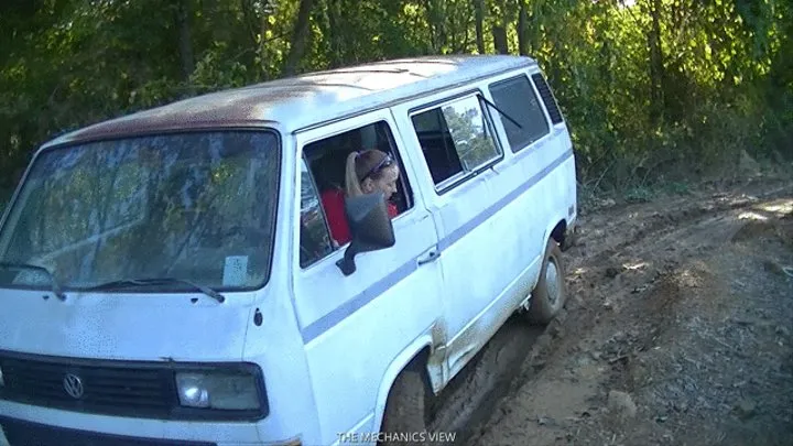 DAISY IN MUD AGAIN