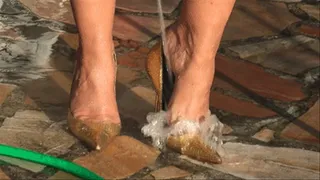 Spring-Cleaning In Golden Pumps - Wet