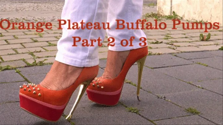 Orange Plateau Buffalo Pumps - Part 2