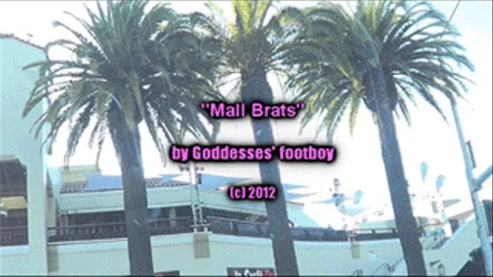 Mall Brats: Humiliating men For $$$