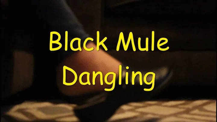 Carley's Black Mules Shoeplay