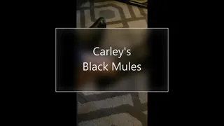 Carley's Black Mules