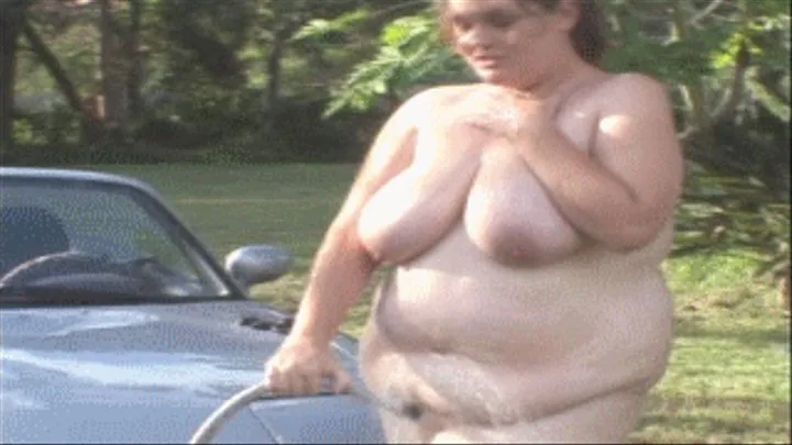 Big Sophie gets topless and washes her car