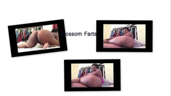 Blosson Farts