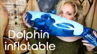 Dolphin inflatable