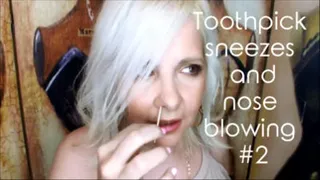 Toothpick sneezes and nose blowing #2