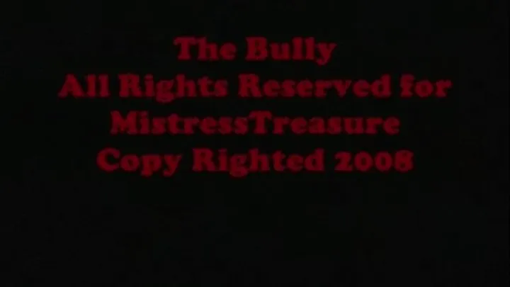 The Bully 2