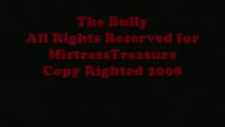 The Bully 2