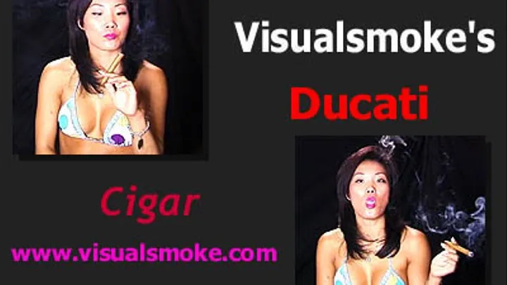 Visualsmoke's Ducati: Cigar