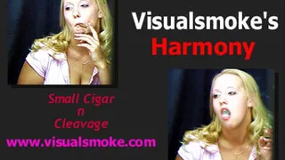 Visualsmoke's Harmony: Small Cigar n Cleavage