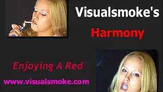 Visualsmoke's Harmony: Enjoying a Red