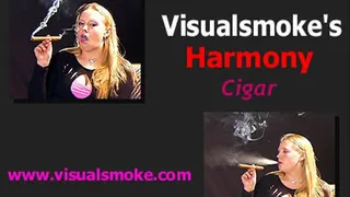 Visualsmoke's Harmony: Cigar