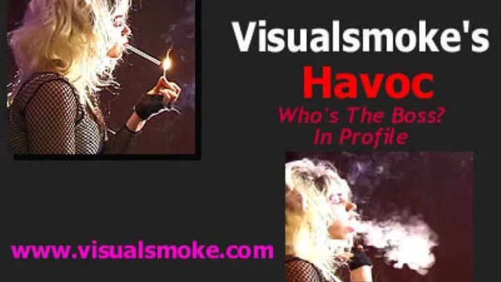 Visualsmoke's Havoc: Who's The Boss? In Profile