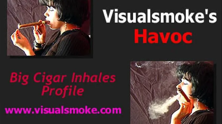 Visualsmoke's Havoc: Big Cigar Inhales, Profile