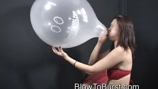 16 Inch Blow To Pop- Now