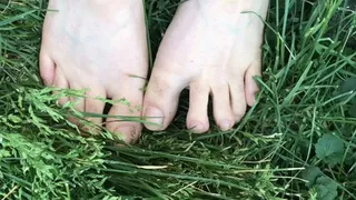 Miss Savannah strokes the long grass with her hairy legs and dirty toes on full display
