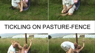 TICKLING ON PASTURE-FENCE full clip